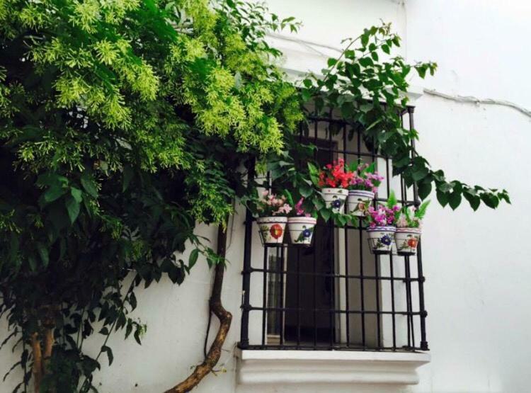 Apartments In Old Town Marbella Exterior foto